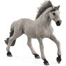 SCHLEICH Stallone Sorraia Mustang (5)