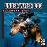 Maeve, Kaley UNDER WATER DOG 2024-2025 Calendar: Pets Calendar 12 Month 2024 Monthly/Weekly, Bonus 6 Months 2025 Thick Sturdy Paper Giftable 2024 Calendar Christmas Gifts