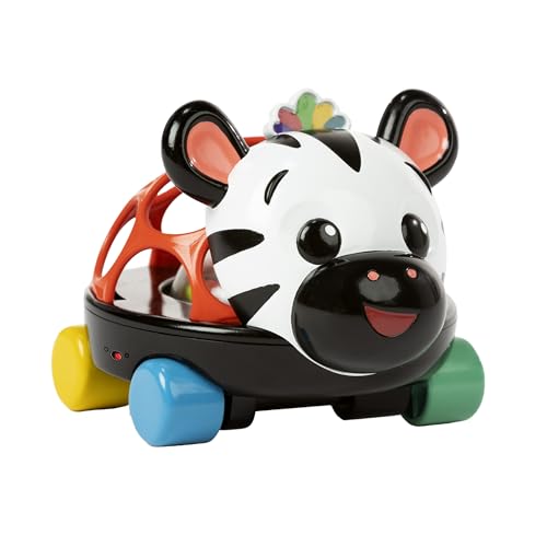 Baby Einstein Macchina giocattolo e sonaglio Oball Curious Car Zen, luminoso, 3+ mesi, zebra Zen