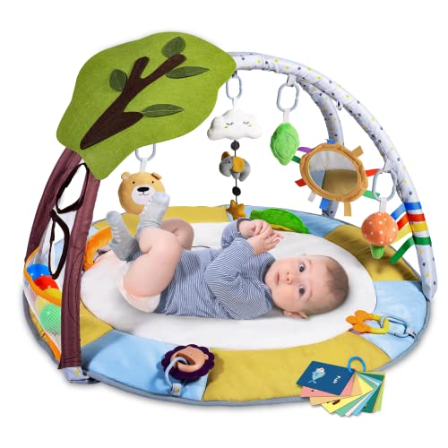 Lupantte Palestrina Neonato Multiattivita,Palestrine Neonato con 9 Giocattoli,Palestrina Evolutiva Neonato 2 Giocattoli per Dentizione a Sonaglio, Palestrina Bambini Tummy Time,Antiscivolo Addensato