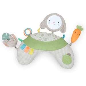 Ingenuity Sylvi Tappeto e Cuscino di Supporto per il Tempo a Pancia - Gioco e Supporto per Neonato Ingenuity Sylvi Tappeto e Cuscino di Supporto per il Tempo a Pancia - Gioco e Supporto per Neonato