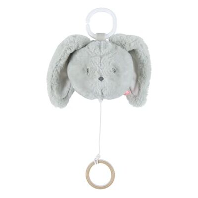 Noukie's Peluche Musicale Nomade 20 cm Coniglio Verdi Verde con Anello e Gancio per Passeggino, Auto Sveglio Musicale Regalo Bambino Noukie's Peluche Musicale Nomade 20 cm Coniglio Verdi Verde con Anello e Gancio per Passeggino, Auto Sveglio Musicale Regalo Bambino