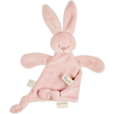 Nattou Lapidou Peluche per bambini, Toudou Coniglio, peluche per neonati, regalo di compleanno, baby shower, 37 x 35 cm, rosa cipria Nattou Lapidou Peluche per bambini, Toudou Coniglio, peluche per neonati, regalo di compleanno, baby shower, 37 x 35 cm, rosa cipria