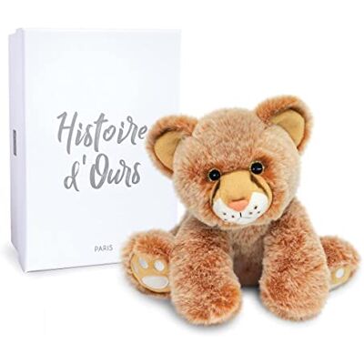 Doudou et Compagnie Histoire d'ours Bébé Leone, 18 cm, , colore: Marrone Doudou et Compagnie Histoire d'ours Bébé Leone, 18 cm, , colore: Marrone