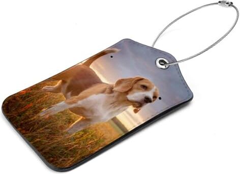 Generic Set di 2 etichette per bagagli in pelle PU con cane beagle in attesa del tramonto con anello in acciaio inox per la privacy