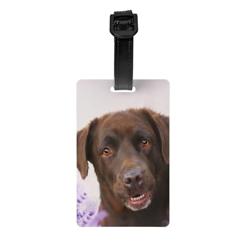 Fittg Retriever di cani marrone labrador lavanda, Etichette per bagagli Etichetta con nome in PVC Etichetta identificativa per valigia da viaggio Etichetta identificativa per bagagli durevole
