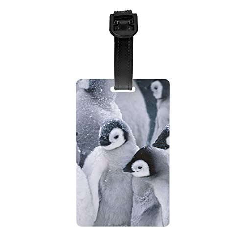 AvImYa Etichetta per bagagli per valigie etichette identificatori per donne uomini viaggi rapidamente spot valigia carino pinguino