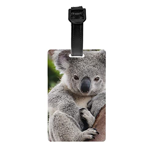 DMORJ Carino Koala Travel Family Women Men Bagaglio Tag -- per bambini borse scolastiche, bagagli, borse sportive, valigette e molto altro ancora.