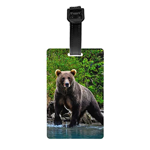 AvImYa Etichetta per bagagli per valigie etichette identificative per donne e uomini, viaggi rapidamente individuare bagagli valigia orso marrone