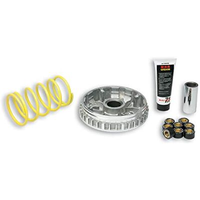 Malossi 5111225 VARIATORE YAMAHA VERSITY XC 300 4T LC (H314E) MULTIVAR 2000 Malossi 5111225 VARIATORE YAMAHA VERSITY XC 300 4T LC (H314E) MULTIVAR 2000