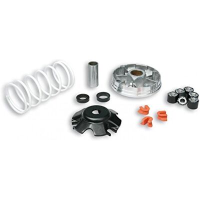 Malossi 519019 VARIATORE MULTIVAR 2000 D.19 PIAGGIO ZIP SP 50 2T LC 2001- Malossi 519019 VARIATORE MULTIVAR 2000 D.19 PIAGGIO ZIP SP 50 2T LC 2001-