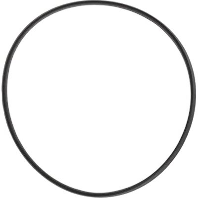 Ajusa O-Ring, manica cilindro Ajusa O-Ring, manica cilindro