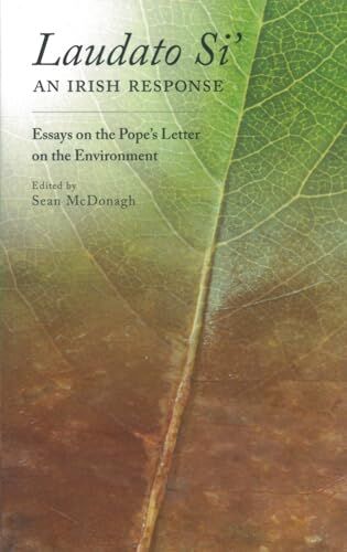 Veritas Laudato Si: An Irish Response : Essays on the Pope's Letter on the Environment