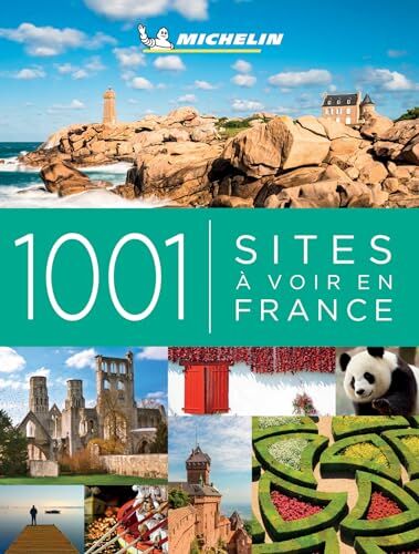 Michelin GUIDE PATRIMOINE DE FRANCE 1001 SITES À VOIR EN