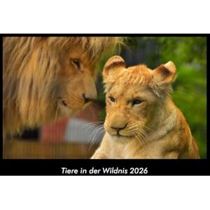 Becker Tiere in der Wildnis 2026 Fotokalender DIN A3: Monatskalender mit Bild-Motiven von Haustieren, Bauernhof, wilden Tieren und Raubtieren Becker Tiere in der Wildnis 2026 Fotokalender DIN A3: Monatskalender mit Bild-Motiven von Haustieren, Bauernhof, wilden Tieren und Raubtieren