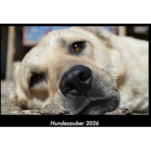 Becker Hundezauber 2026 Fotokalender DIN A3: Monatskalender mit Bild-Motiven von Haustieren, Bauernhof, wilden Tieren und Raubtieren Becker Hundezauber 2026 Fotokalender DIN A3: Monatskalender mit Bild-Motiven von Haustieren, Bauernhof, wilden Tieren und Raubtieren