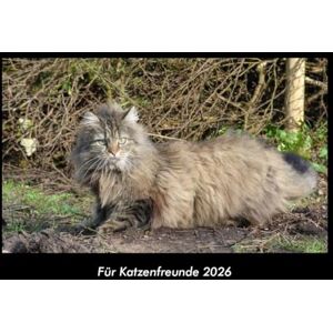 Becker Für Katzenfreunde 2026 Fotokalender DIN A3: Monatskalender mit Bild-Motiven von Haustieren, Bauernhof, wilden Tieren und Raubtieren Becker Für Katzenfreunde 2026 Fotokalender DIN A3: Monatskalender mit Bild-Motiven von Haustieren, Bauernhof, wilden Tieren und Raubtieren