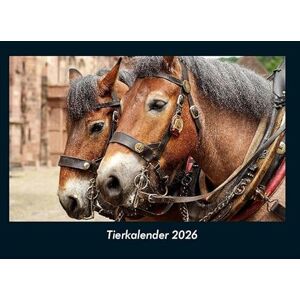 Becker Tierkalender 2026 Fotokalender DIN A4: Monatskalender mit Bild-Motiven von Haustieren, Bauernhof, wilden Tieren und Raubtieren Becker Tierkalender 2026 Fotokalender DIN A4: Monatskalender mit Bild-Motiven von Haustieren, Bauernhof, wilden Tieren und Raubtieren