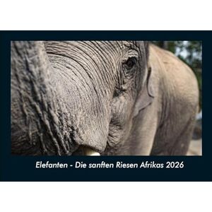 Becker Elefanten Die sanften Riesen Afrikas 2026 Fotokalender DIN A4: Monatskalender mit Bild-Motiven von Haustieren, Bauernhof, wilden Tieren und Raubtieren Becker Elefanten Die sanften Riesen Afrikas 2026 Fotokalender DIN A4: Monatskalender mit Bild-Motiven von Haustieren, Bauernhof, wilden Tieren und Raubtieren