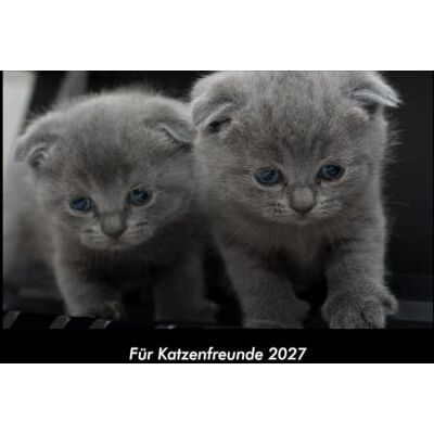 Becker Für Katzenfreunde 2027 Fotokalender DIN A3: Monatskalender mit Bild-Motiven von Haustieren, Bauernhof, wilden Tieren und Raubtieren Becker Für Katzenfreunde 2027 Fotokalender DIN A3: Monatskalender mit Bild-Motiven von Haustieren, Bauernhof, wilden Tieren und Raubtieren