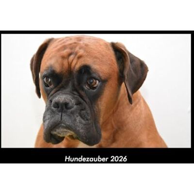 Becker Hundezauber 2026 Fotokalender DIN A3: Monatskalender mit Bild-Motiven von Haustieren, Bauernhof, wilden Tieren und Raubtieren Becker Hundezauber 2026 Fotokalender DIN A3: Monatskalender mit Bild-Motiven von Haustieren, Bauernhof, wilden Tieren und Raubtieren