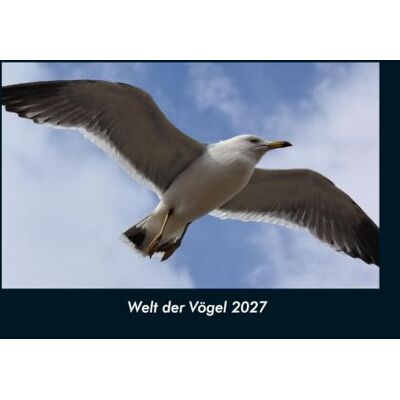 Schmitt, Tobias Welt der Vögel 2027 Fotokalender DIN A4: Monatskalender mit Bild-Motiven von Haustieren, Bauernhof, wilden Tieren und Raubtieren Schmitt, Tobias Welt der Vögel 2027 Fotokalender DIN A4: Monatskalender mit Bild-Motiven von Haustieren, Bauernhof, wilden Tieren und Raubtieren