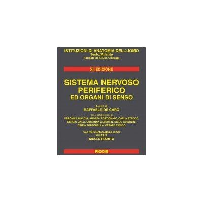 Raffaele De Caro Sistema nervoso periferico ed organi di senso Raffaele De Caro Sistema nervoso periferico ed organi di senso