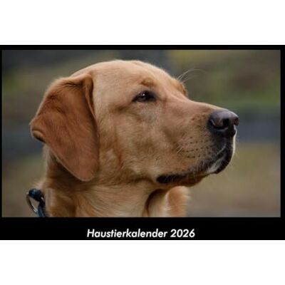 Becker Haustierkalender 2026 Fotokalender DIN A3: Monatskalender mit Bild-Motiven von Haustieren, Bauernhof, wilden Tieren und Raubtieren Becker Haustierkalender 2026 Fotokalender DIN A3: Monatskalender mit Bild-Motiven von Haustieren, Bauernhof, wilden Tieren und Raubtieren