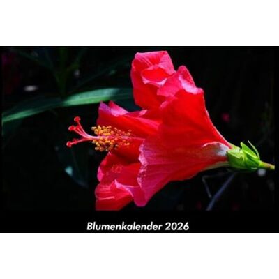 Becker Blumenkalender 2026 Fotokalender DIN A3: Monatskalender mit Bild-Motiven aus Fauna und Flora, Natur, Blumen und Pflanzen Becker Blumenkalender 2026 Fotokalender DIN A3: Monatskalender mit Bild-Motiven aus Fauna und Flora, Natur, Blumen und Pflanzen