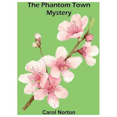 Symantec The Phantom Town Mystery Symantec The Phantom Town Mystery