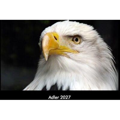 Becker Adler 2027 Fotokalender DIN A3: Monatskalender mit Bild-Motiven von Haustieren, Bauernhof, wilden Tieren und Raubtieren Becker Adler 2027 Fotokalender DIN A3: Monatskalender mit Bild-Motiven von Haustieren, Bauernhof, wilden Tieren und Raubtieren