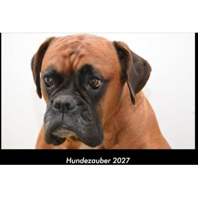 Becker Hundezauber 2027 Fotokalender DIN A3: Monatskalender mit Bild-Motiven von Haustieren, Bauernhof, wilden Tieren und Raubtieren Becker Hundezauber 2027 Fotokalender DIN A3: Monatskalender mit Bild-Motiven von Haustieren, Bauernhof, wilden Tieren und Raubtieren
