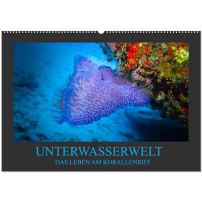 Meutzner, Dirk Unterwasserwelt Das Leben am Korallenriff (Wandkalender 2026 DIN A2 quer), Monatskalender: Farbenprächtige und bezaubernde Bilder eines Korallenriffs erwarten Sie. Meutzner, Dirk Unterwasserwelt Das Leben am Korallenriff (Wandkalender 2026 DIN A2 quer), Monatskalender: Farbenprächtige und bezaubernde Bilder eines Korallenriffs erwarten Sie.