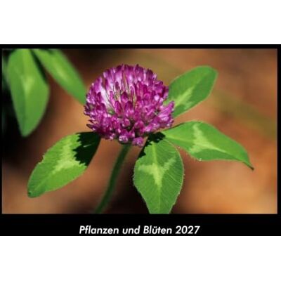 Becker Pflanzen und Blüten 2027 Fotokalender DIN A3: Monatskalender mit Bild-Motiven aus Fauna und Flora, Natur, Blumen und Pflanzen Becker Pflanzen und Blüten 2027 Fotokalender DIN A3: Monatskalender mit Bild-Motiven aus Fauna und Flora, Natur, Blumen und Pflanzen