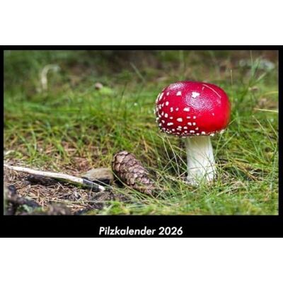 Becker Pilzkalender 2026 Fotokalender DIN A3: Monatskalender mit Bild-Motiven aus Fauna und Flora, Natur, Blumen und Pflanzen Becker Pilzkalender 2026 Fotokalender DIN A3: Monatskalender mit Bild-Motiven aus Fauna und Flora, Natur, Blumen und Pflanzen