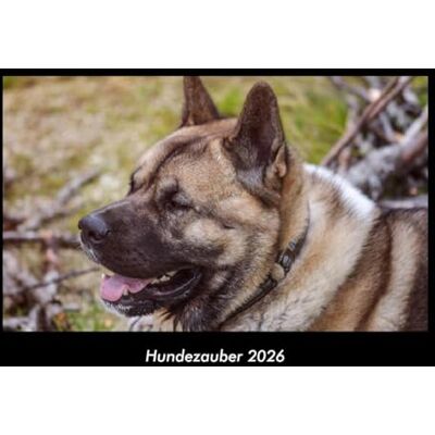 Becker Hundezauber 2026 Fotokalender DIN A3: Monatskalender mit Bild-Motiven von Haustieren, Bauernhof, wilden Tieren und Raubtieren Becker Hundezauber 2026 Fotokalender DIN A3: Monatskalender mit Bild-Motiven von Haustieren, Bauernhof, wilden Tieren und Raubtieren