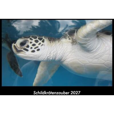 Becker Schildkrötenzauber 2027 Fotokalender DIN A3: Monatskalender mit Bild-Motiven von Haustieren, Bauernhof, wilden Tieren und Raubtieren Becker Schildkrötenzauber 2027 Fotokalender DIN A3: Monatskalender mit Bild-Motiven von Haustieren, Bauernhof, wilden Tieren und Raubtieren