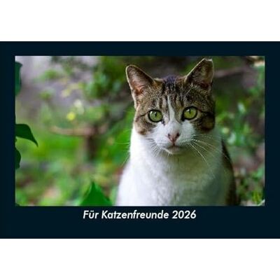 Becker Für Katzenfreunde 2026 Fotokalender DIN A5: Monatskalender mit Bild-Motiven von Haustieren, Bauernhof, wilden Tieren und Raubtieren Becker Für Katzenfreunde 2026 Fotokalender DIN A5: Monatskalender mit Bild-Motiven von Haustieren, Bauernhof, wilden Tieren und Raubtieren