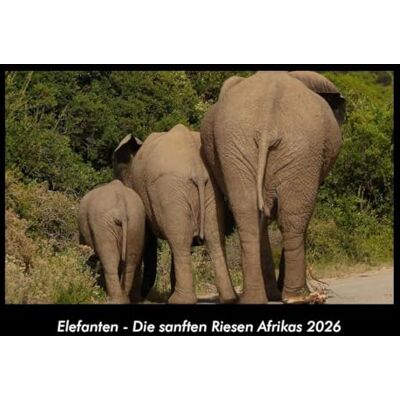 Becker Elefanten Die sanften Riesen Afrikas 2026 Fotokalender DIN A3: Monatskalender mit Bild-Motiven von Haustieren, Bauernhof, wilden Tieren und Raubtieren Becker Elefanten Die sanften Riesen Afrikas 2026 Fotokalender DIN A3: Monatskalender mit Bild-Motiven von Haustieren, Bauernhof, wilden Tieren und Raubtieren