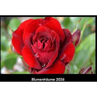 Becker Blumenträume 2026 Fotokalender DIN A3: Monatskalender mit Bild-Motiven aus Fauna und Flora, Natur, Blumen und Pflanzen Becker Blumenträume 2026 Fotokalender DIN A3: Monatskalender mit Bild-Motiven aus Fauna und Flora, Natur, Blumen und Pflanzen