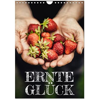 CALVENDO Ernteglück (calendario da parete 2026 DIN A4 alto), Calendario mensile : cosa rende più felice di frutta e verdura del proprio raccolto? CALVENDO Ernteglück (calendario da parete 2026 DIN A4 alto), Calendario mensile : cosa rende più felice di frutta e verdura del proprio raccolto?