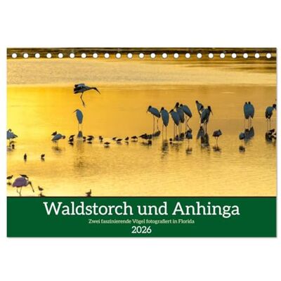 Editha Schacht, Iris Waldstorch und Anhinga (Tischkalender 2026 DIN A5 quer), Monatskalender: Der einzig heimische Storch in Nordamerika, der Waldstorch, und der ... auch Anhinga genannt, werden vorgestellt. Editha Schacht, Iris Waldstorch und Anhinga (Tischkalender 2026 DIN A5 quer), Monatskalender: Der einzig heimische Storch in Nordamerika, der Waldstorch, und der ... auch Anhinga genannt, werden vorgestellt.