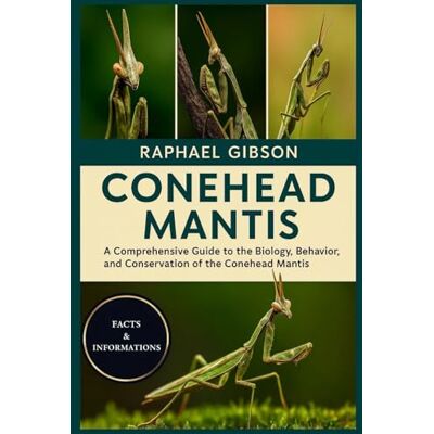 Gibson CONEHEAD MANTIS: A Comprehensive Guide to the Biology, Behavior, and Conservation of the Conehead Mantis Gibson CONEHEAD MANTIS: A Comprehensive Guide to the Biology, Behavior, and Conservation of the Conehead Mantis