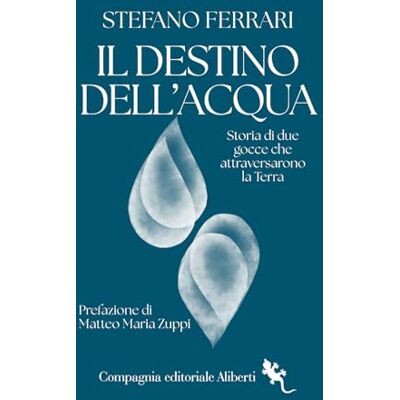 Acer Il destino dell'acqua. Storia di due gocce che attraversarono la Terra Acer Il destino dell'acqua. Storia di due gocce che attraversarono la Terra