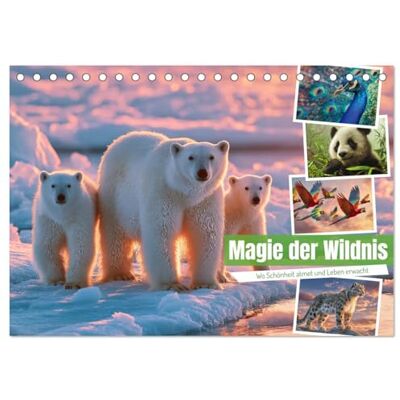 Gierok-Latniak, Steffen Magie der Wildnis (Tischkalender 2026 DIN A5 quer), Monatskalender: Ein atemberaubender Tierkalender, der die majestätische Vielfalt unserer Natur in beeindruckenden Bildern zeigt. Gierok-Latniak, Steffen Magie der Wildnis (Tischkalender 2026 DIN A5 quer), Monatskalender: Ein atemberaubender Tierkalender, der die majestätische Vielfalt unserer Natur in beeindruckenden Bildern zeigt.