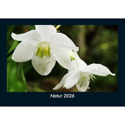 Becker Natur 2026 Fotokalender DIN A5: Monatskalender mit Bild-Motiven aus Fauna und Flora, Natur, Blumen und Pflanzen Becker Natur 2026 Fotokalender DIN A5: Monatskalender mit Bild-Motiven aus Fauna und Flora, Natur, Blumen und Pflanzen