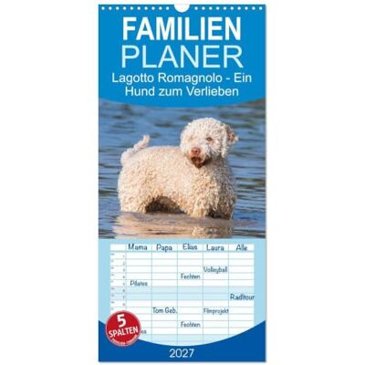 CALVENDO Familienplaner 2027 Lagotto Romagnolo Ein Hund zum Verlieben mit 5 Spalten (Wandkalender, 21 x 45 cm) : Der Lagotto Romagnolo auf 13 zauberhaften Kalenderblättern CALVENDO Familienplaner 2027 Lagotto Romagnolo Ein Hund zum Verlieben mit 5 Spalten (Wandkalender, 21 x 45 cm) : Der Lagotto Romagnolo auf 13 zauberhaften Kalenderblättern