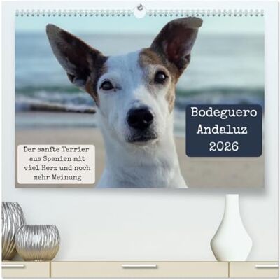 CALVENDO Ratonero Bodeguero Andaluz (calendario da parete 2026 di alta qualità, DIN A2 orizzontale), stampa artistica lucida CALVENDO Ratonero Bodeguero Andaluz (calendario da parete 2026 di alta qualità, DIN A2 orizzontale), stampa artistica lucida