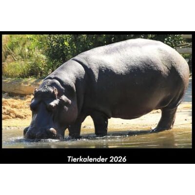 Becker Tierkalender 2026 Fotokalender DIN A3: Monatskalender mit Bild-Motiven von Haustieren, Bauernhof, wilden Tieren und Raubtieren Becker Tierkalender 2026 Fotokalender DIN A3: Monatskalender mit Bild-Motiven von Haustieren, Bauernhof, wilden Tieren und Raubtieren