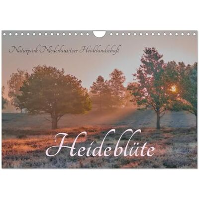 Jablonka, Lisa Naturpark Niederlausitzer Heidelandschaft Heideblüte (Wandkalender 2026 DIN A4 quer), Monatskalender: Ein Blütenmeer in Rosa und Violett, ... Lebewesen und neugierige Besucher tummeln. Jablonka, Lisa Naturpark Niederlausitzer Heidelandschaft Heideblüte (Wandkalender 2026 DIN A4 quer), Monatskalender: Ein Blütenmeer in Rosa und Violett, ... Lebewesen und neugierige Besucher tummeln.